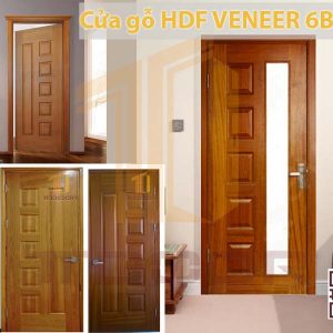 Mẫu cửa gỗ HDf Veneer 6b ASH